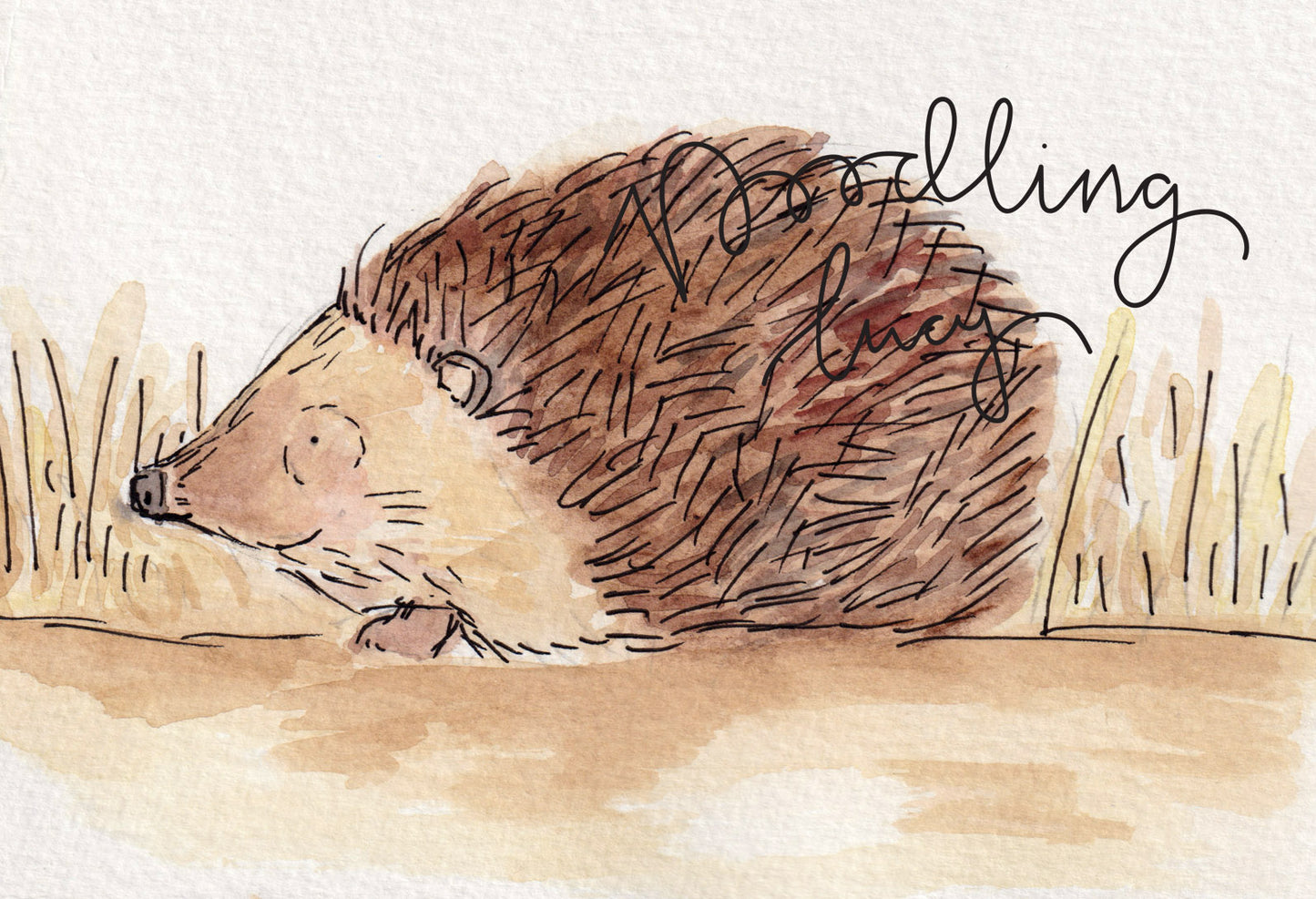 Hedgehog A6 Original Watercolour Illustration