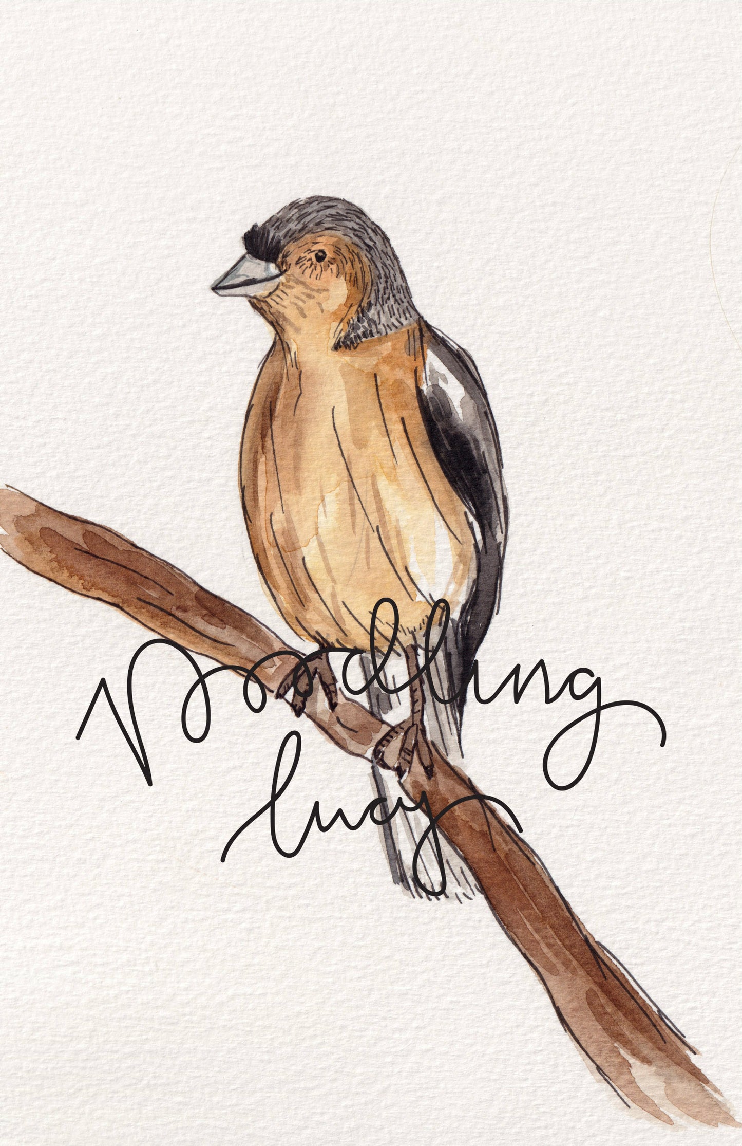 Chaffinch A5 Watercolour Original