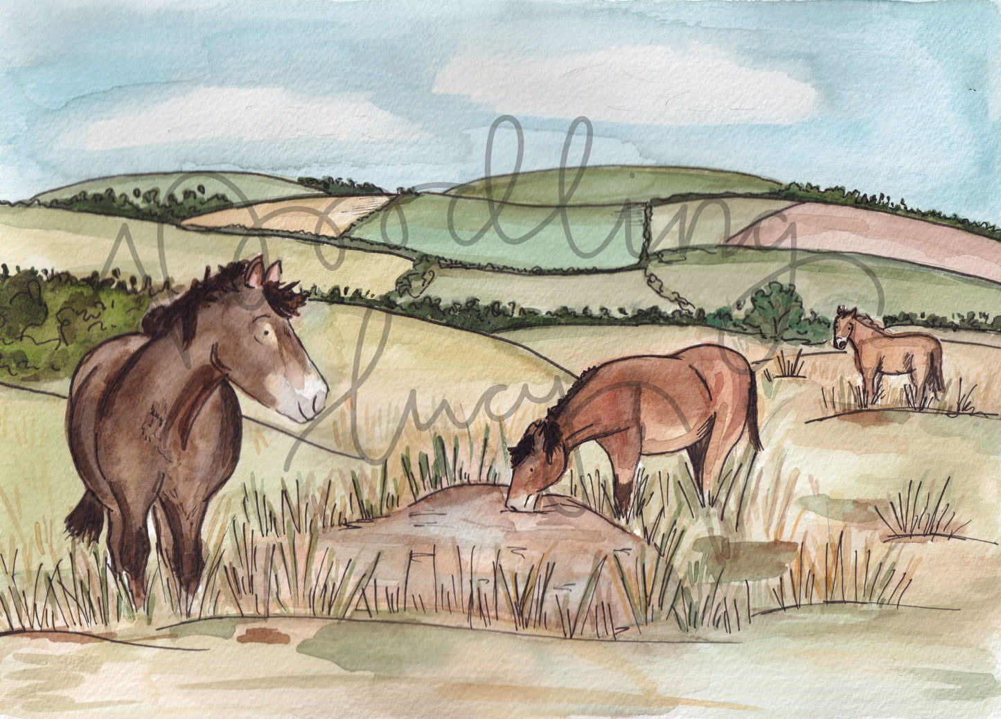 Exmoor Pony A4 Original Artwork