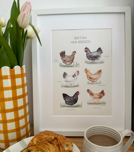 British Hen Breeds A4 Print