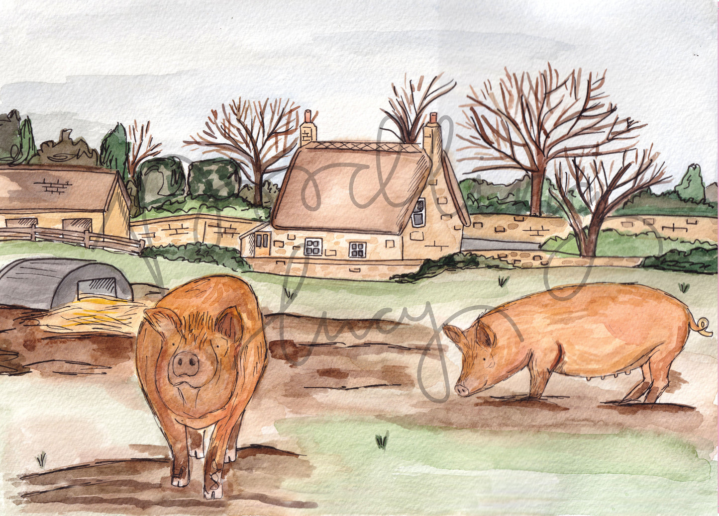 Charity Tamworth Pigs A4 Original Watercolour
