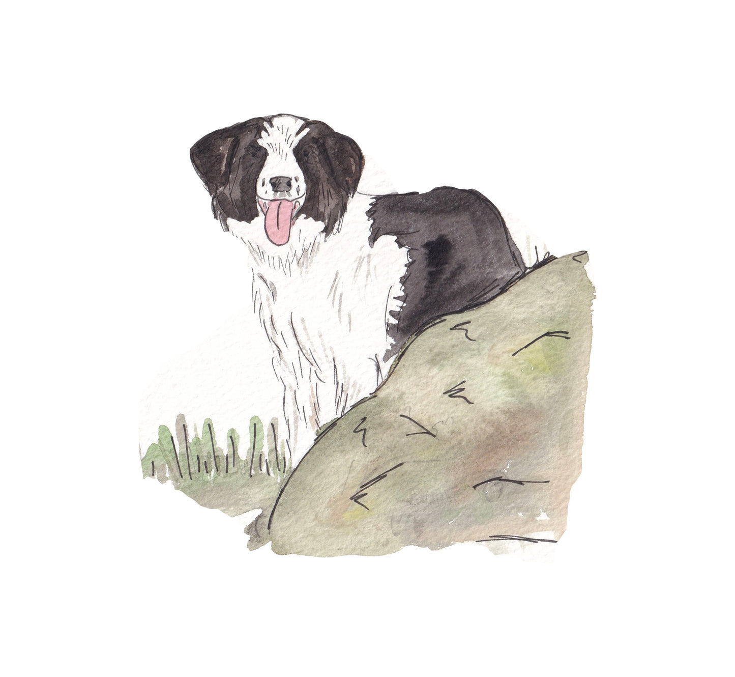 Gus The Sheep Dog
