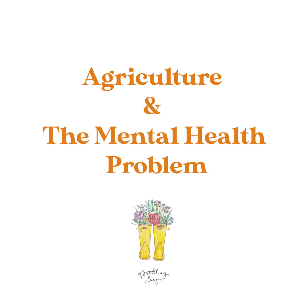Agriculture & The Mental Health Problem