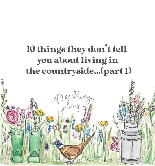 10 Things They Don't Tell You About Living In The Countryside... (part 1)