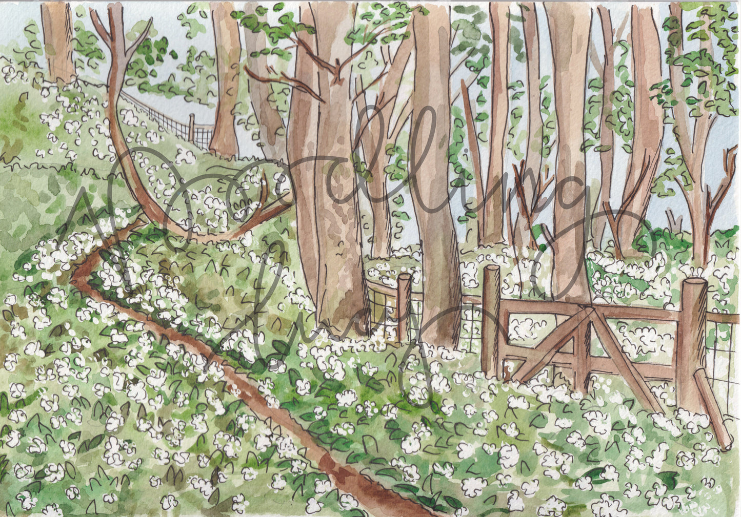 Garlic Woods A4 Original Illustration