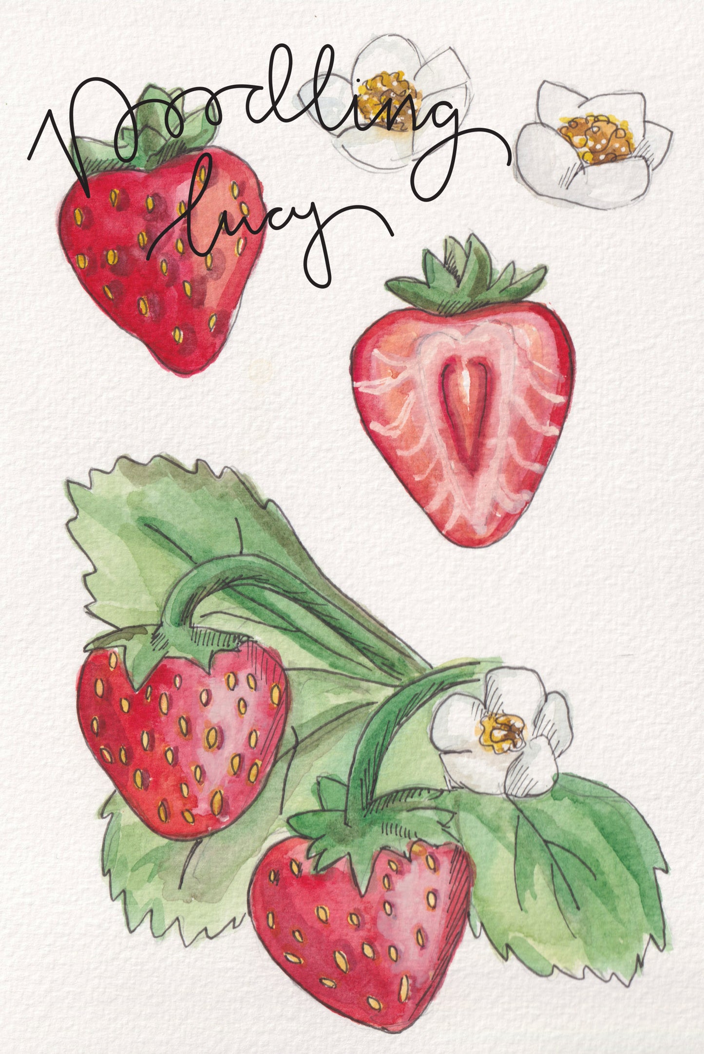 Strawberries A5 Original Illustration