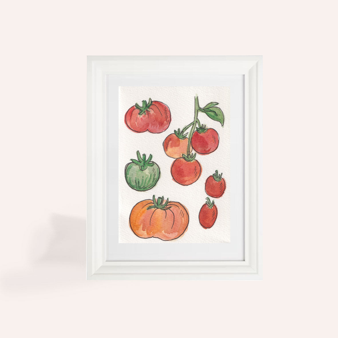 Tomato Varieties A6 Original Illustration