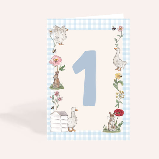 1st Birthday Age Milestone Card