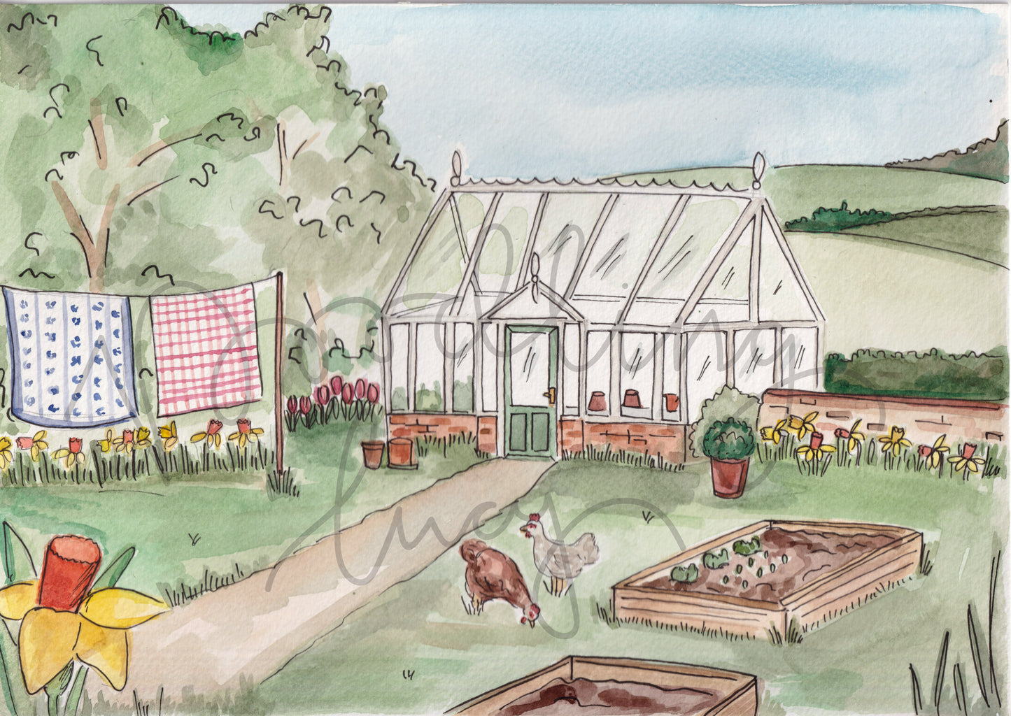 Cottage Garden A4 Original Illustration