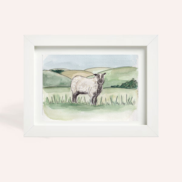 Badger Face Welsh Mountain Sheep Original Watercolour A5