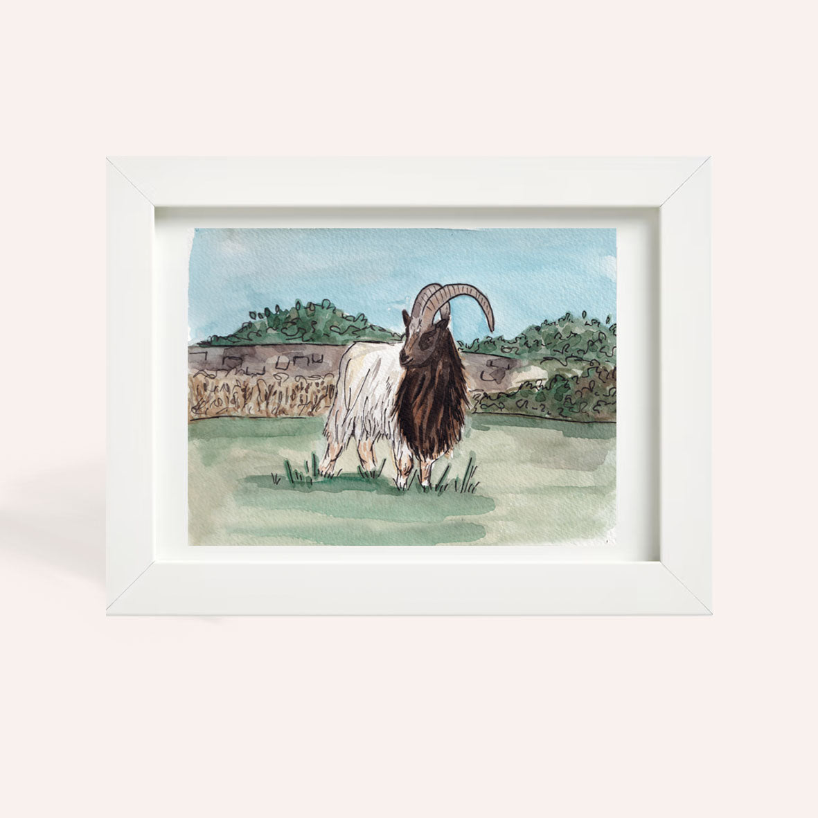 Bagot Goat A5 Original Watercolour