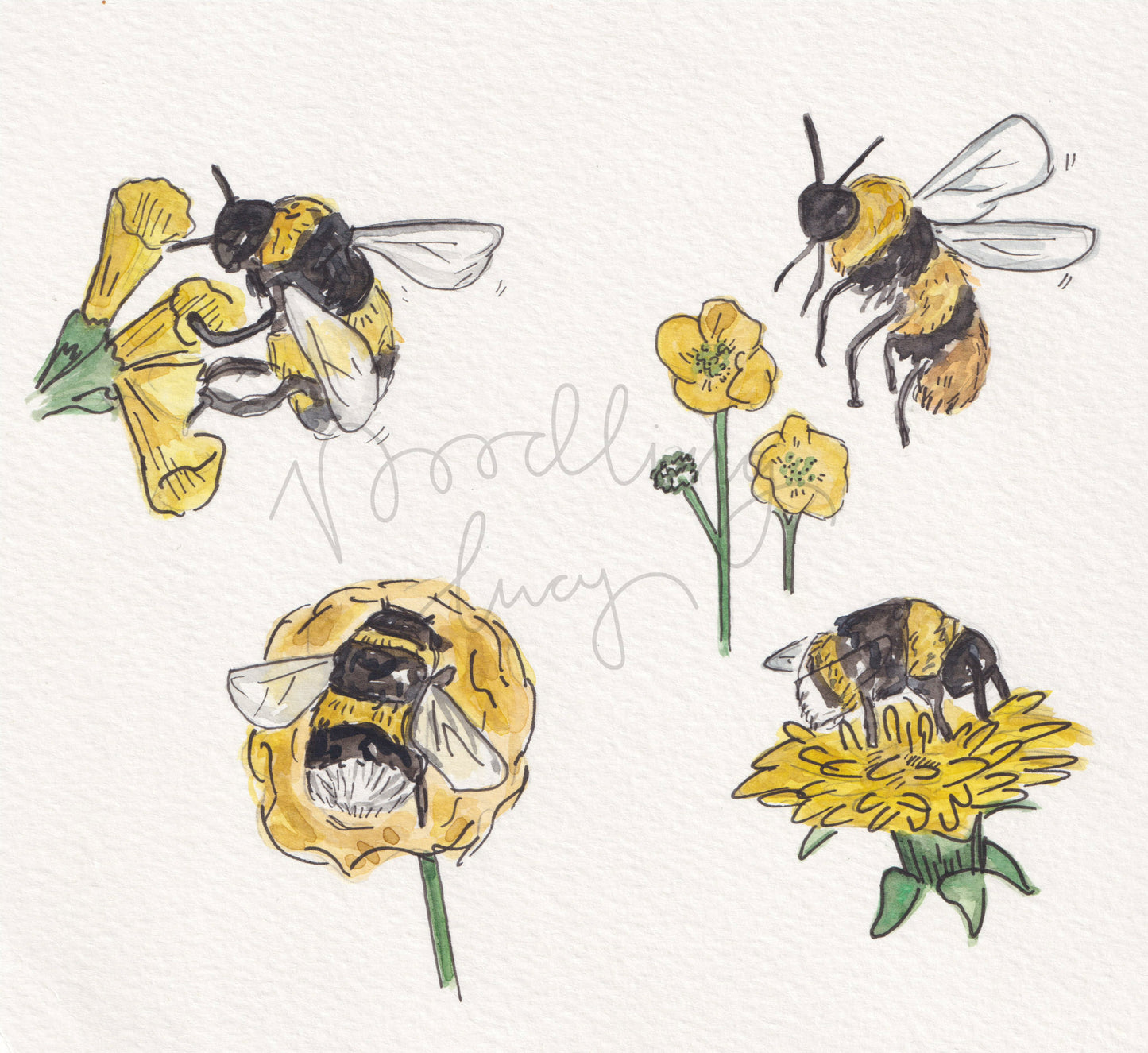 Bees Original Illustration