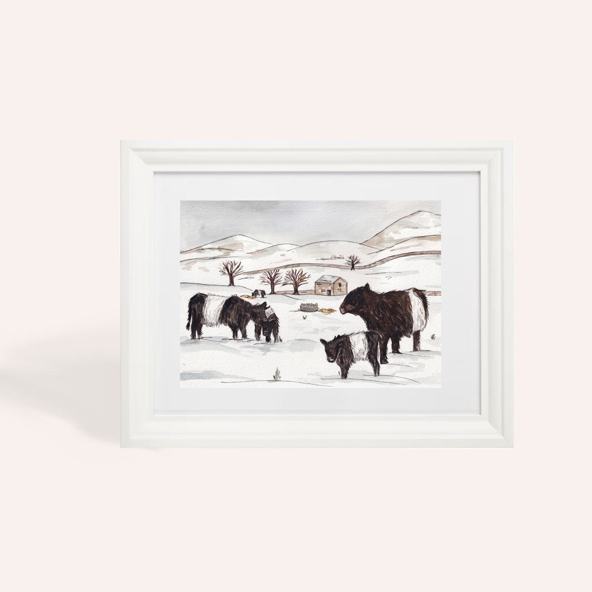 Charity Belted Galloway Snowy A4 Art Print
