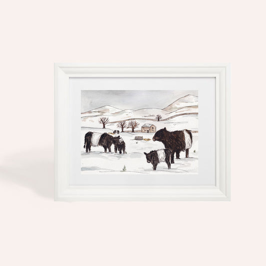 Charity Belted Galloway Snowy A4 Art Print