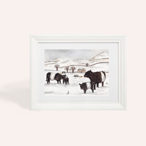 PREORDER Belted Galloway Snowy A4 Art Print