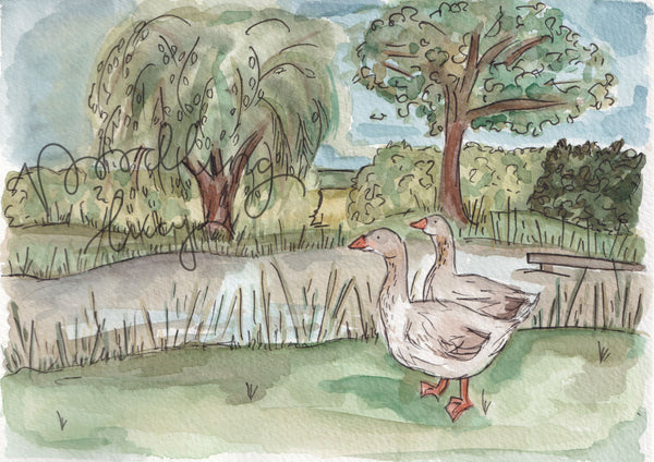 Brecon Buff Goose A5 Original Watercolour