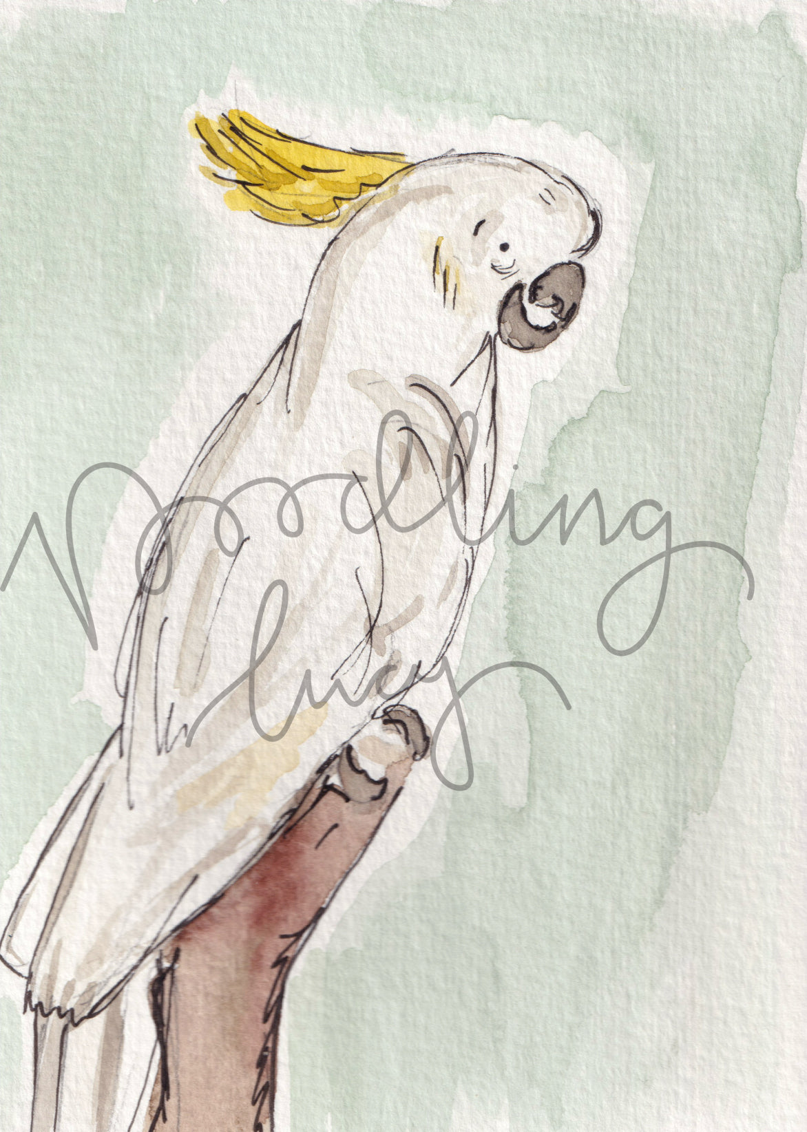 Cockatoo A6 Original Illustration
