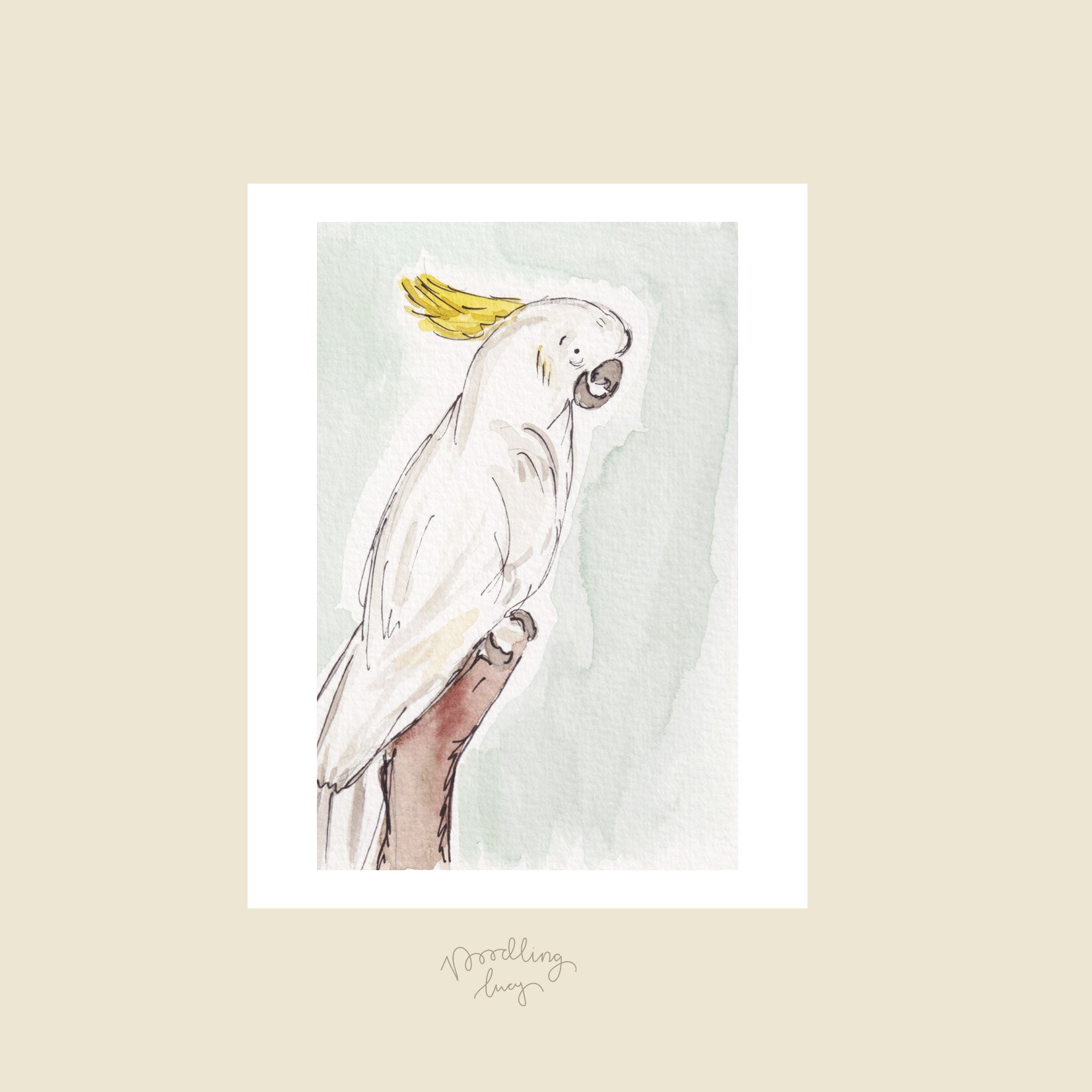 Cockatoo A6 Postcard