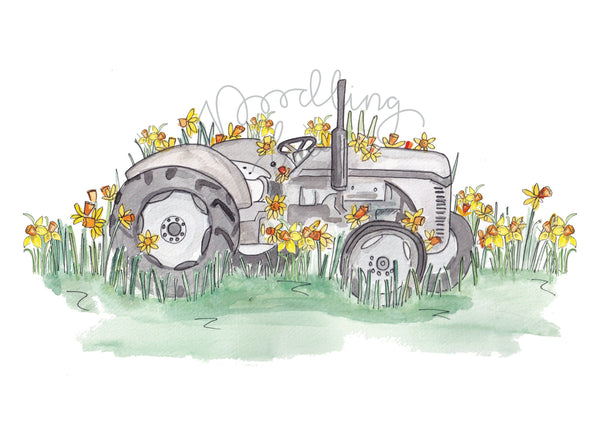 Daffodil Fergie Vintage Tractor A4 Art Print