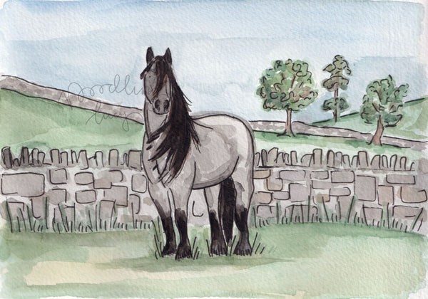 Dales Pony A5 Original Watercolour