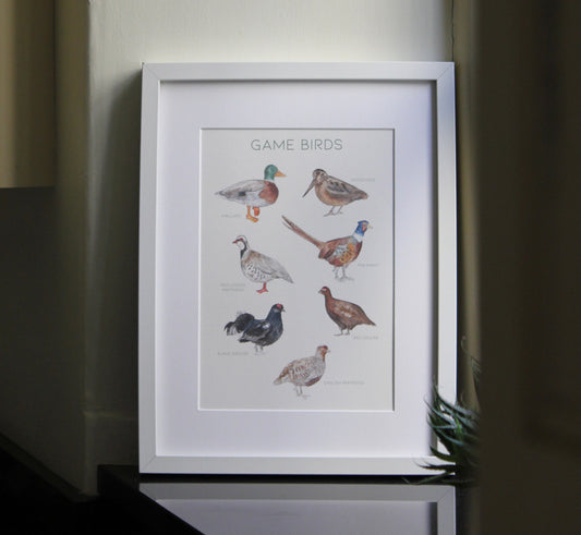 Game Birds Print