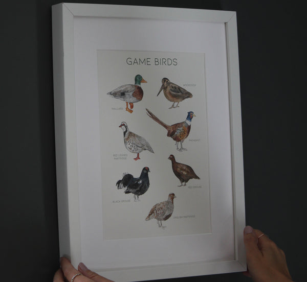Game Birds Print