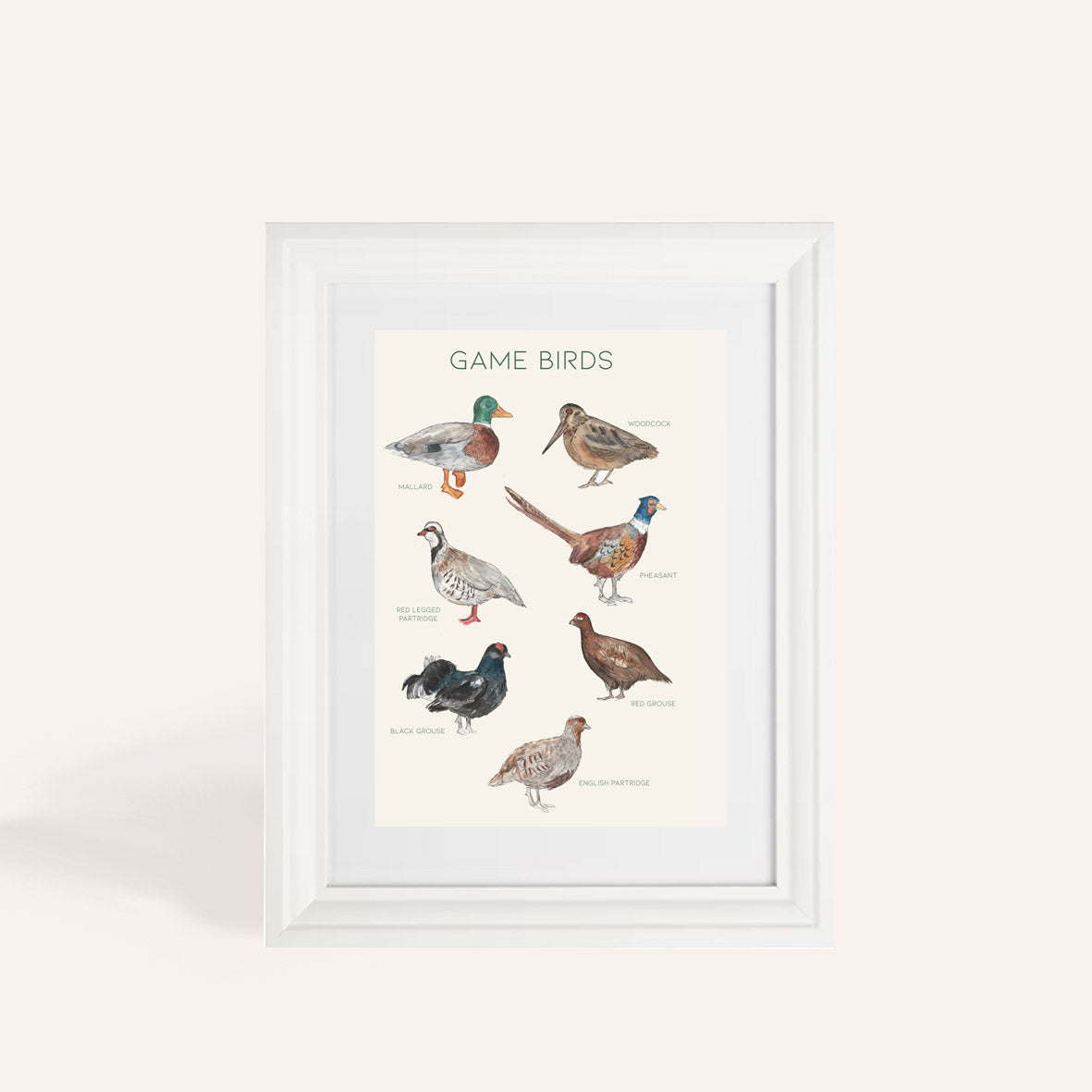 Game Birds Print