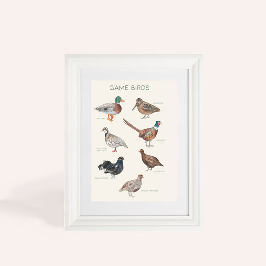 Game Birds Print