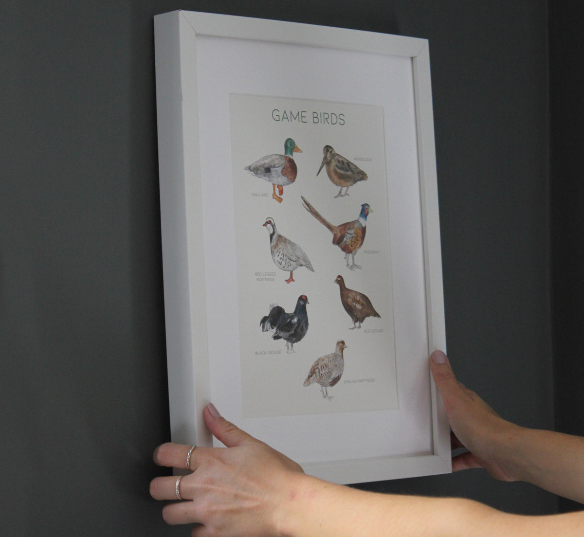 Game Birds Print
