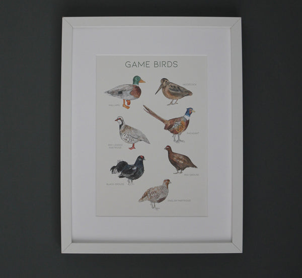 Game Birds Print