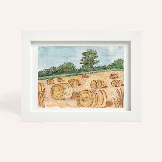Preorder Harvest A5 Prints Bundle (4 Prints)