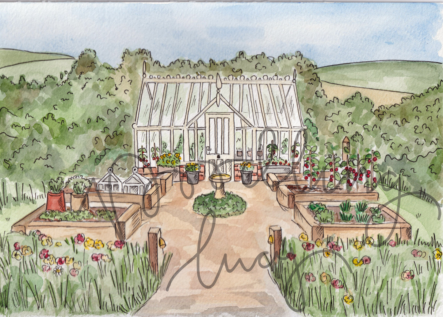 Garden Greenhouse A4 Original Illustration