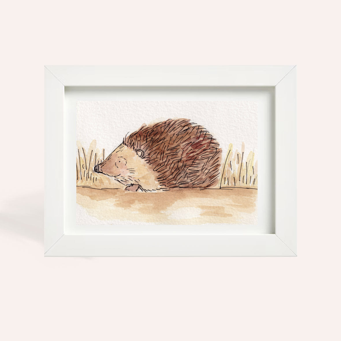 Hedgehog A6 Original Watercolour Illustration