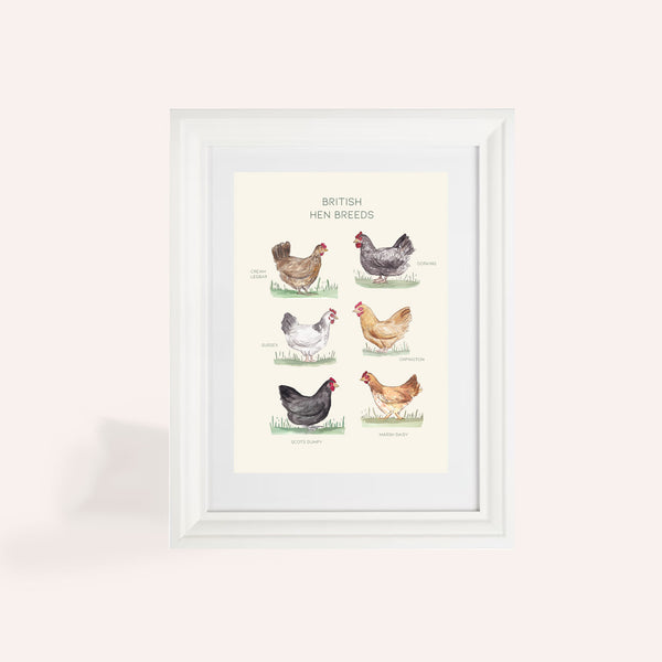 British Hen Breeds A4 Print