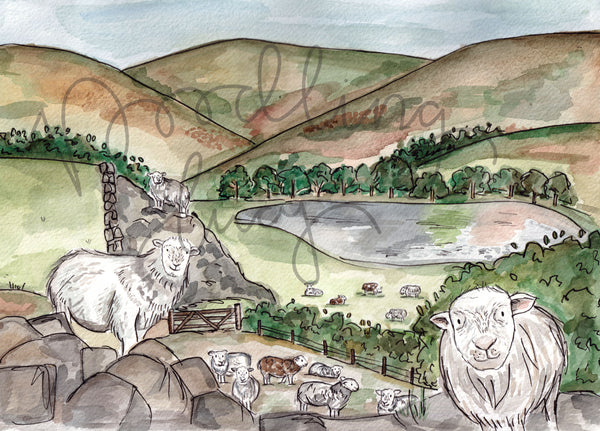 Charity Herdwick Sheep A4 Art Print