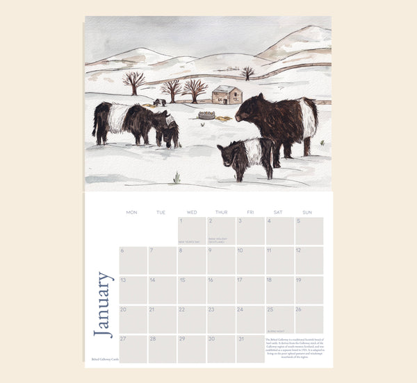 PREORDER: 2025 British Native Breed Illustrated Calendar