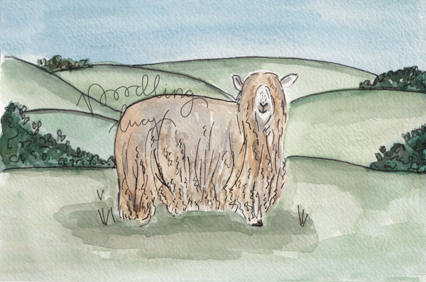 Lincoln Longwool A5 Original Watercolour