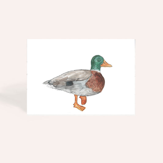Mallard Watercolour Original