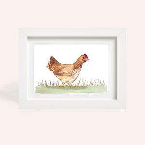 Marsh Daisy Chicken A5 Watercolour Original Watercolour