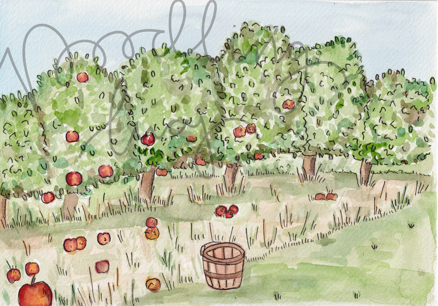 Apple Orchard A4 Original Illustration