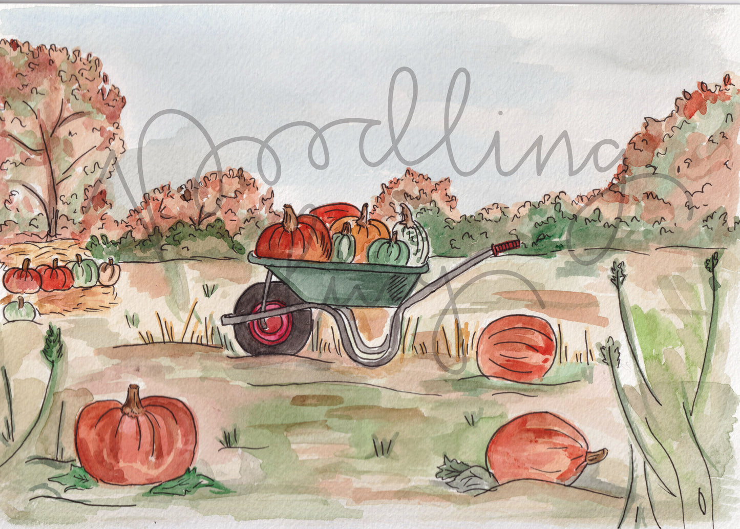 Pumpkin Patch  A4 Original Illustration