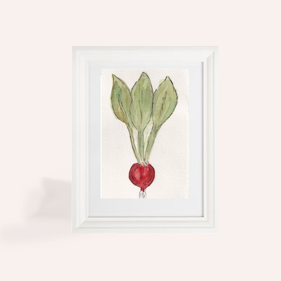 Radish A6 Original Illustration