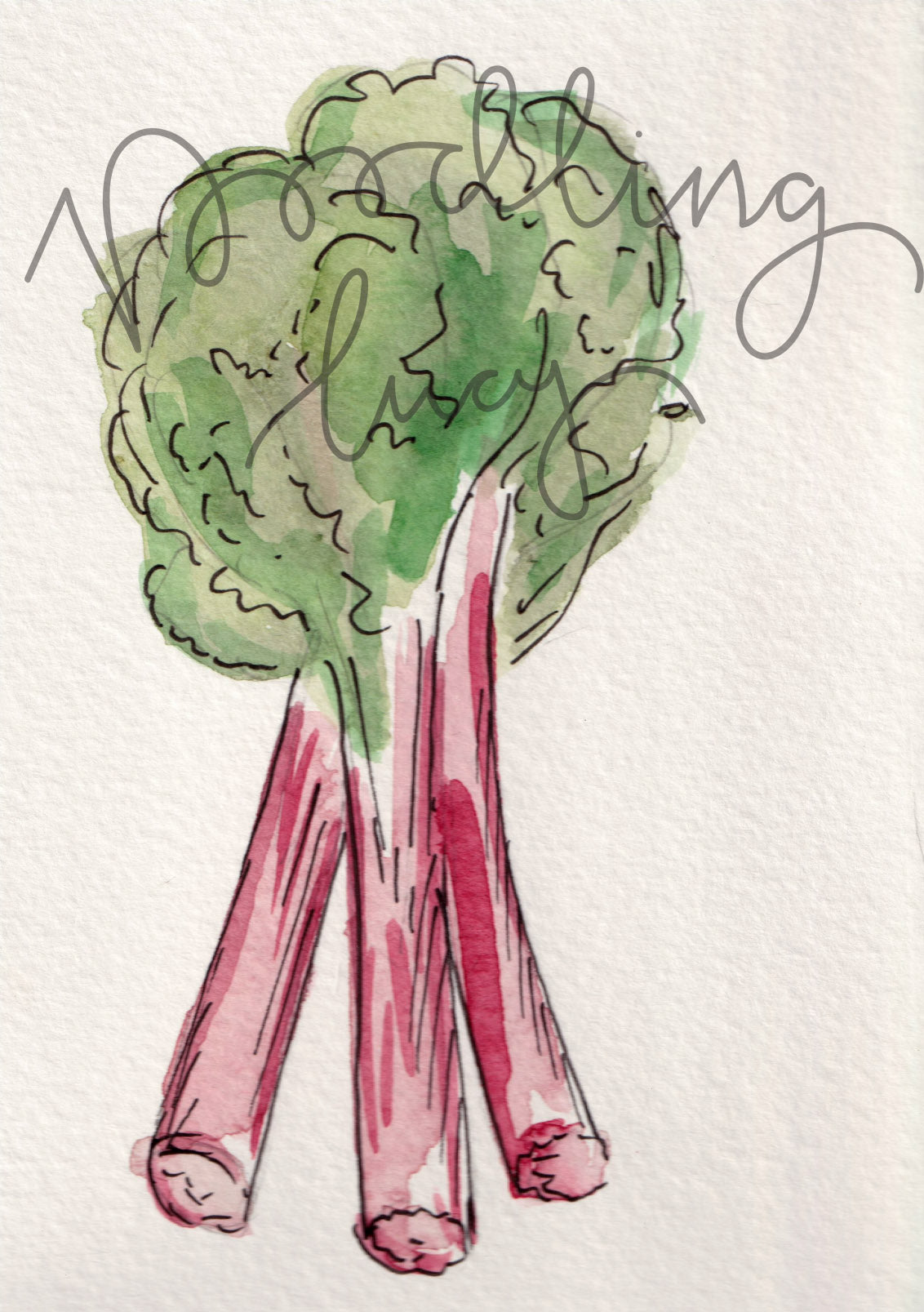 Rhubarb A6 Original Illustration