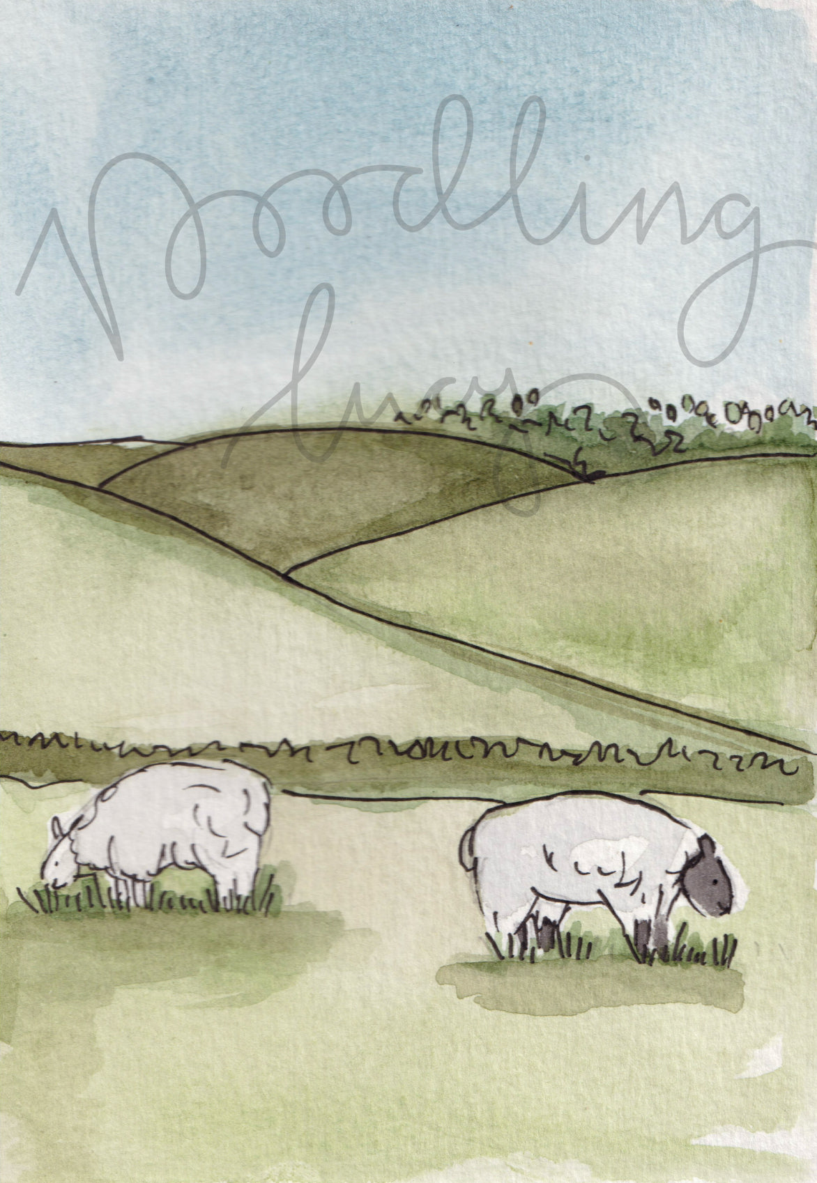 Sheep Grazing/Dog Walking Illustration A6