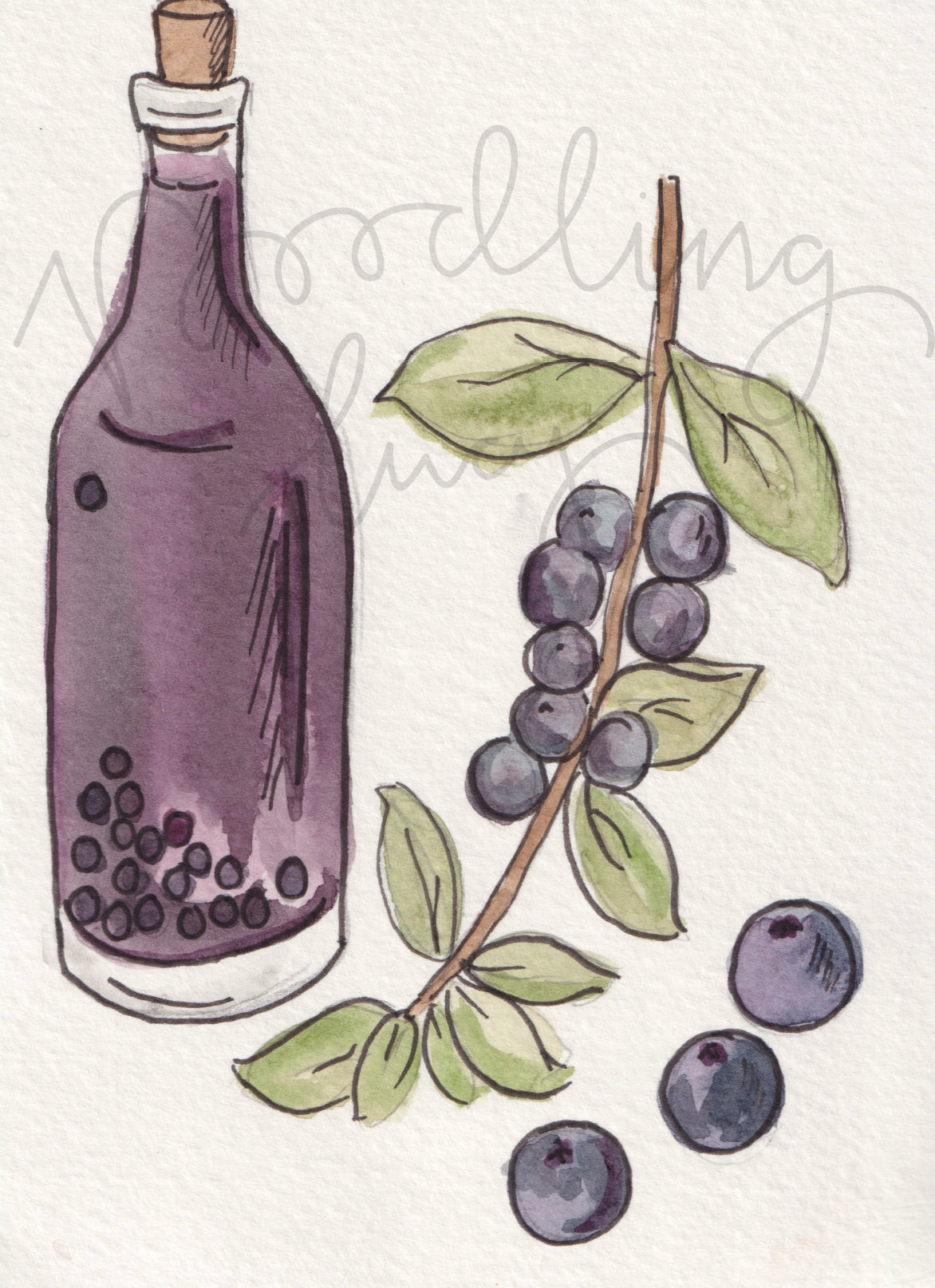 Slow Gin Original Illustration