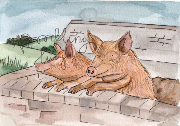 Tamworth Pig A5 Original Watercolour