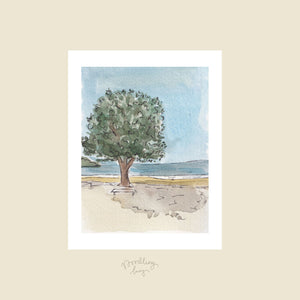 Terrigal Tree A6 Postcard