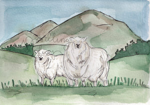 Welsh Mountain Pedigree Sheep Original Watercolour A5