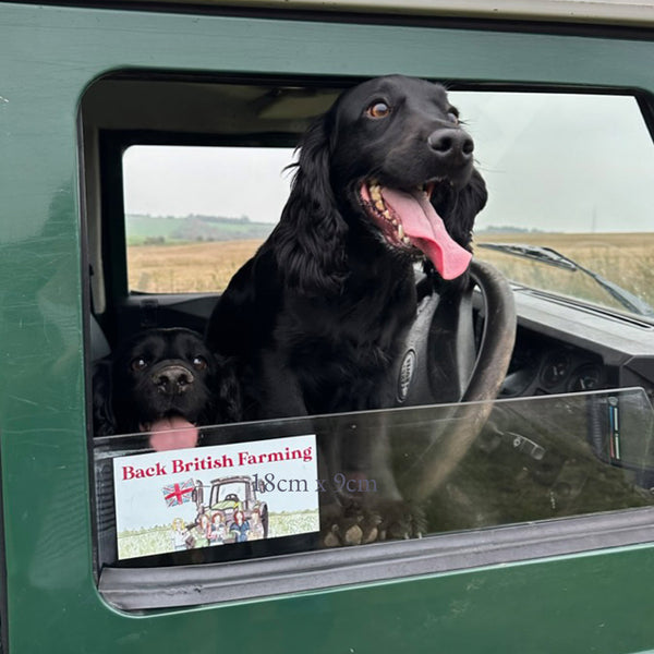 Women In Farming Car Sticker/Cling